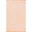 Montauk Handwoven Orange Cotton Area Rug 3x5