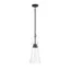 Matte Black Mid-Century Modern Glass Pendant Light