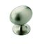 Satin Nickel Oval Cabinet Knob with Mounting Hardware