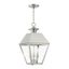 Elegant Brushed Nickel 3-Light Outdoor Pendant with Clear Glass