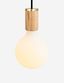 Mini Oak Globe LED Pendant Light with Matte White Glass