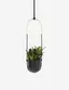 Bolo Soft Curve Black Ceramic Indoor/Outdoor Hanging Planter